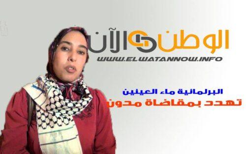 البرلمانية أمنة ماء العينين تهدد بمقاضاة مدون