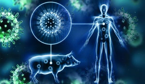 تحذير : هذه أعراض وباء أنفلونزا الخنازير القاتل وطرق الوقاية منه