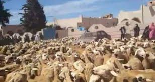 فيديو : مواجهات بين ساكنة أربعاء الساحل و الرعاة الرحال أمام أنظار السلطات المحلية