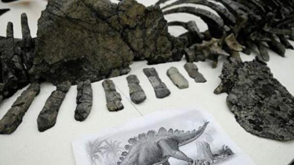 علماء يعثرون بجبال الأطلس على أقدم ديناصور في العالم