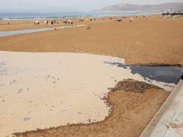 أكادير…السلطات المحلية تحقق في كارثة بيئية في شاطئ المدينة (صور)