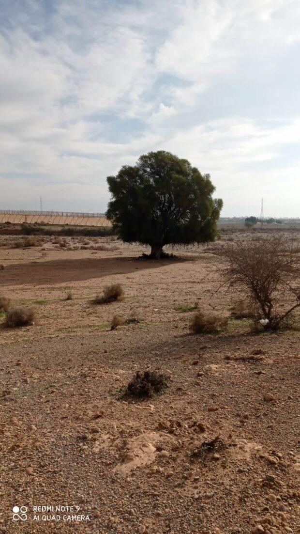 تارودانت …استنزاف الفرشة المائية وحفر ابار بجماعة اداومومن بطرق بشعة و غير قانونية