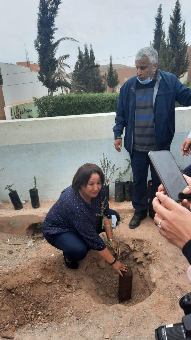 نادية بنسعيد ممثلة التنسيقية النسائية لمحمية الاركان تغرس أول شجرة