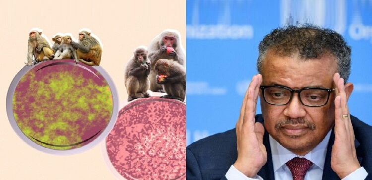 هل فيروس جدري القردة قابل للتحور؟..منظمة الصحة العالمية توضح