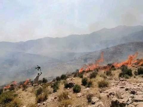 اندلاع حريق بغابة “شفارني” تيزي ن تاست اقليم تارودانت +صور