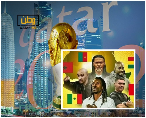 مدربون محليون يقودون المنتخبات الأفريقية الخمسة بمونديال قطر