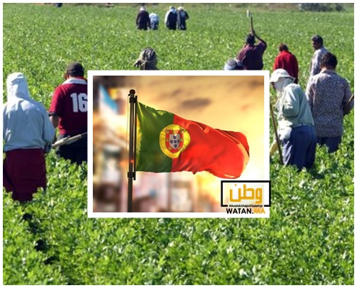 البرتغال ترخص لاستقدام عمال أجانب من خارج الاتحاد الأوروبي خاصة المغاربة 