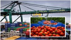 السلطات المغربية تقرر إيقاف تصدير الخضر الأساسية لمواجهة موجة الغلاء