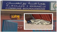 مصرع سبعيني بجماعة بونعمان بتزنيت