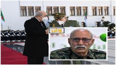 تقرير أمريكي يفضح وحشية الجنرالات والبوليساريو