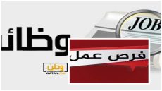 هام للشباب ...فرص عمل للشباب