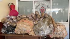 توقيف شخصين بحي أنزا بأكادير في قضية حيازة وترويج المخدرات