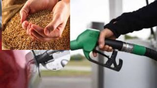 الحكومة: احتياطي الغازوال لا يتعدى 29 يوما ومخزون القمح يغطي ثلاثة أشهر