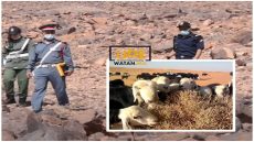 العثور على الطفل عمران ميتاً بعد اختفائه لمدة 20 يوماً