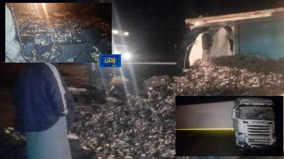 إنقلاب شاحنة محملة بالاسماك في الطريق الرابط بين كلميم وطانطان