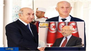 عبد المجيد تبون يصدر أوامره لاعتقال الغنوشي خدمة لمصالح قيس سعيد