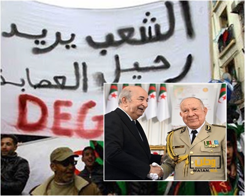 تقرير…مناخ من القمع والرعب يسود الجزائر منذ أكثر من عامين