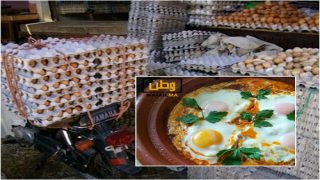 ارتفاع أسعار البيض في شهر رمضان لهذا السبب