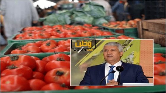 ارتفاع أسعار الطماطم في الأسواق المغربية