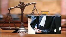 قاضي التحقيق يأمر بإحالة محام وموظفة على الجنايات بشأن تهم ثقيلة تتعلق بالتزوير