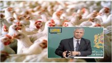 أسعار اللحوم البيضاء تحلق عالياً بالاسواق المغربية