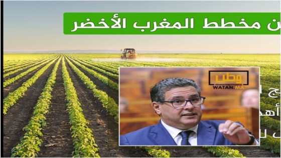 رئيس الحكومة ...مخطط المغرب الأخضر أكسب الفلاحة الوطنية المناعة