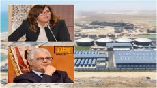 الاتحادية نزهة أباكريم تساءل وزير التجهيز والماء حول تأخر الأشغال بمحطة تحلية مياه البحر بتيزنيت