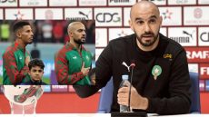 “الركراكي” بعد هزيمة الأسود..لا تهمني النتيجة الأهم أن نستعيد الانفاس ونعود بقوة مستقبلا