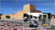 أجواء حارة بعدد من مناطق المملكة