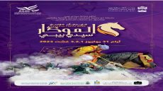 موسم الموكار سيدي بيبي يعود بعد غياب دام لمدة 3 سنوات بسبب جائحة كورونا