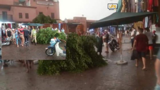 مراكش : عاصفة رعدية تقتل شابا وتصيب آخر