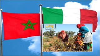 دولة ايطاليا تطلب 40 ألف عامل مغربي في قطاعات السياحة و الفلاحة 