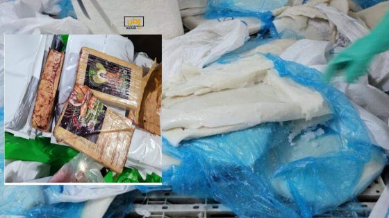 الدار البيضاء : حجز شحنة كبيرة من الكوكايين داخل شحنة من الأسماك المجمدة (صور)