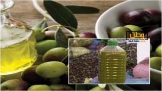 أسعار زيت الزيتون ترتفع لمستويات غير معهودة بالمغرب