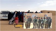 مطالب دولية تسعى لإطلاق سراح المحتجزين في تندوف فوق التراب الجزائري