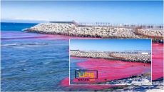 غريب ...تغير لون مياه شاطئ مرقالة يورط شركة بطنجة والدرك يحقق