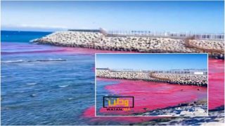 غريب ...تغير لون مياه شاطئ مرقالة يورط شركة بطنجة والدرك يحقق