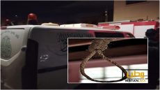 تطورات جديدة في قضية انتحار مؤذن ثمانيني بمسجد