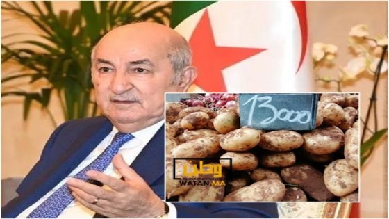 عبدالمجيد تبون يقيل وزير الفلاحة بسبب البطاطا
