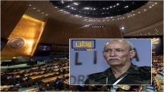 الأمم المتحدة تصدم "البوليساريو" والموالين لها بقرار جديد