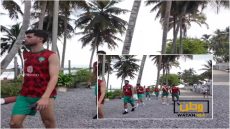 الركراكي: الحرارة الخصم الأول للأسود في أدغال أفريقيا و سنتغلب عليها 