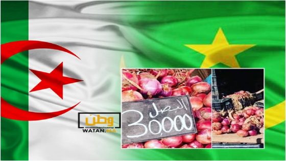 غريب...الجزائر ترسل أطنان البصل الى موريتانيا رغم حاجتها له