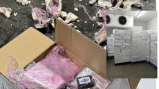 إجهاض عملية تهريب ثلاثة أطنان و255 كيلوغرام من صفائح مخدر “الشيرا” بميناء طنجة المتوسط