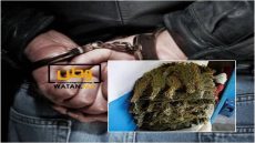 اعتقال خمسيني متلبس بالإتجار في القنب الهندي