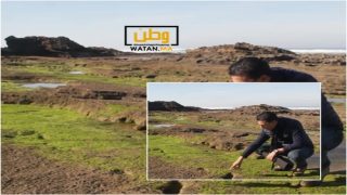 العثور على أثار لأقدام بشرية في شمال أفريقيا وجنوب المتوسط