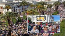 الرباط ...مسيرة حاشدة تطالب بوقف حرب إسرائيل على غزة وإنهاء التطبيع 