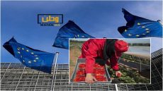 السلطات الصحية الأوربية تتهم الفراولة المغربية بحمل فيروس خطير