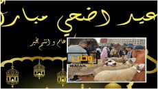 هذا موعد حلول عيد الأضحى بالمغرب