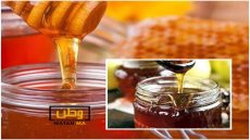 العسل المغربي يطرق أبواب السوق الأوروبية