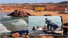 فاجعة... غرق أب وابنته في واقعة مفجعة بشاطئ مير اللفت